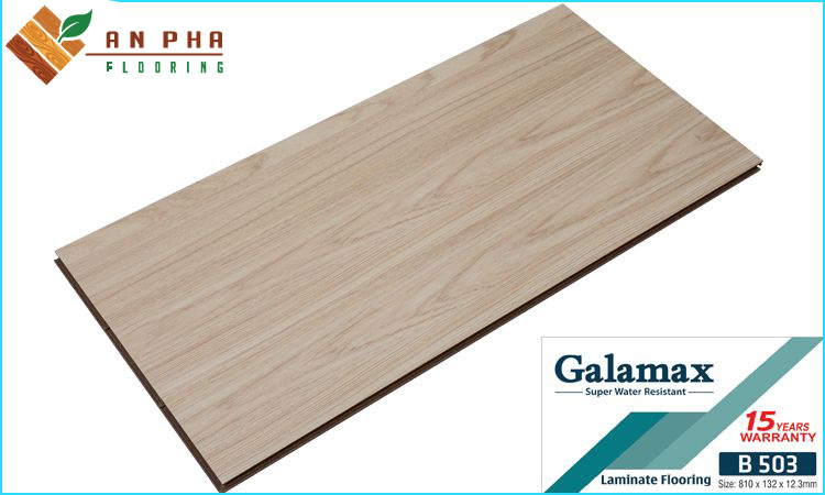 San-go-Galamax-B503-2