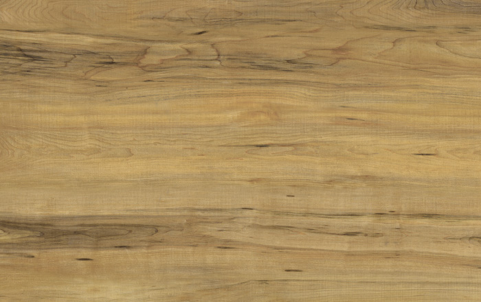 sàn gỗ hortnitex elegant-narrow-quebec-maple