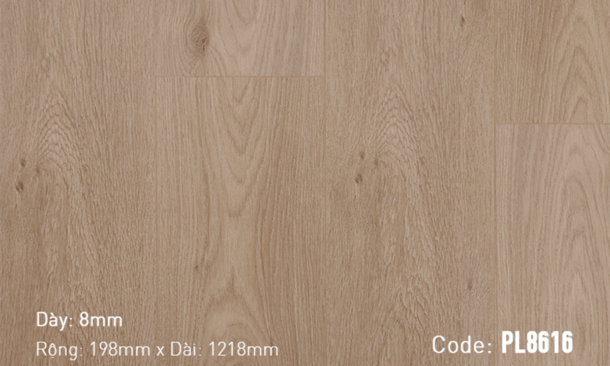 Sàn gỗ Dream Prolux PL8616 | Chuẩn Đẹp